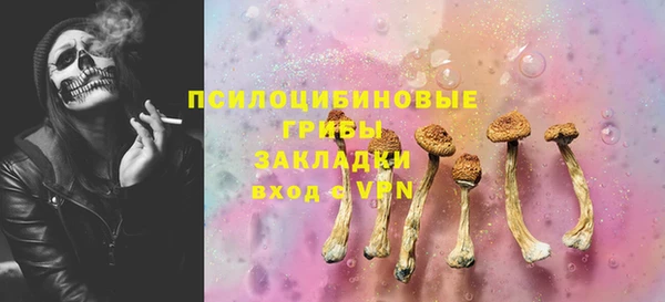 Альфа ПВП Бородино