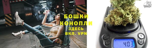 Альфа ПВП Бородино