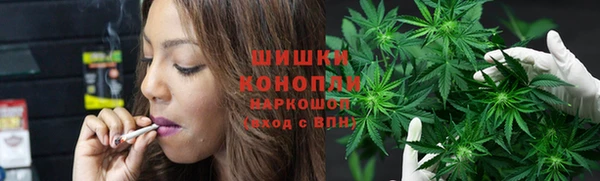 Альфа ПВП Бородино