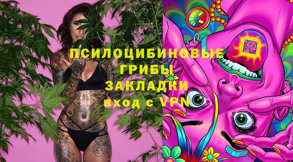 Альфа ПВП Бородино